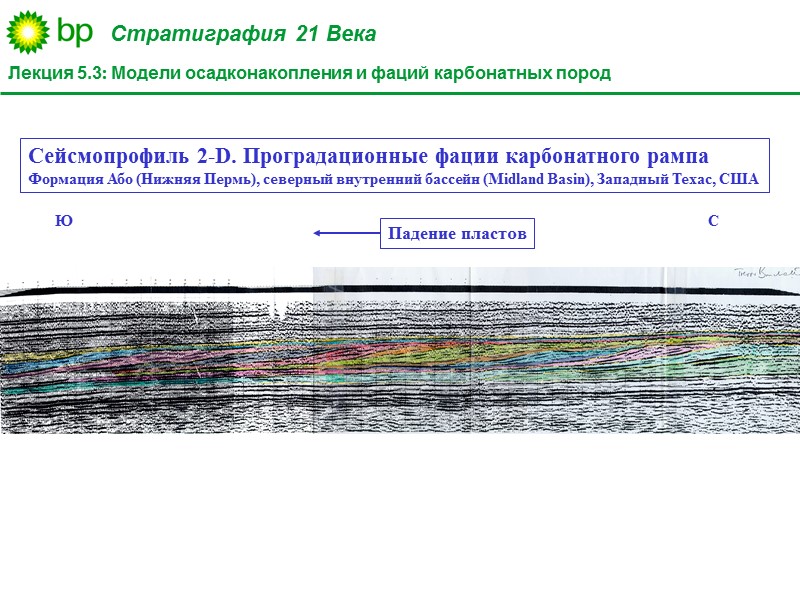 Сейсмопрофиль 2-D. Проградационные фации карбонатного рампа Формация Або (Нижняя Пермь), северный внутренний бассейн (Midland